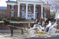 traditional carriage in front of the Courthouse